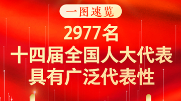 2977名十四屆全國人大代表具有廣泛的代表性