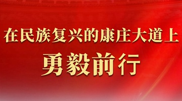 在民族復興的康莊大道上勇毅前行——代表委員共話推進中國式現(xiàn)代化